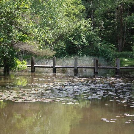 Spruce Lake Sauviat-sur-Vige ภายนอก รูปภาพ